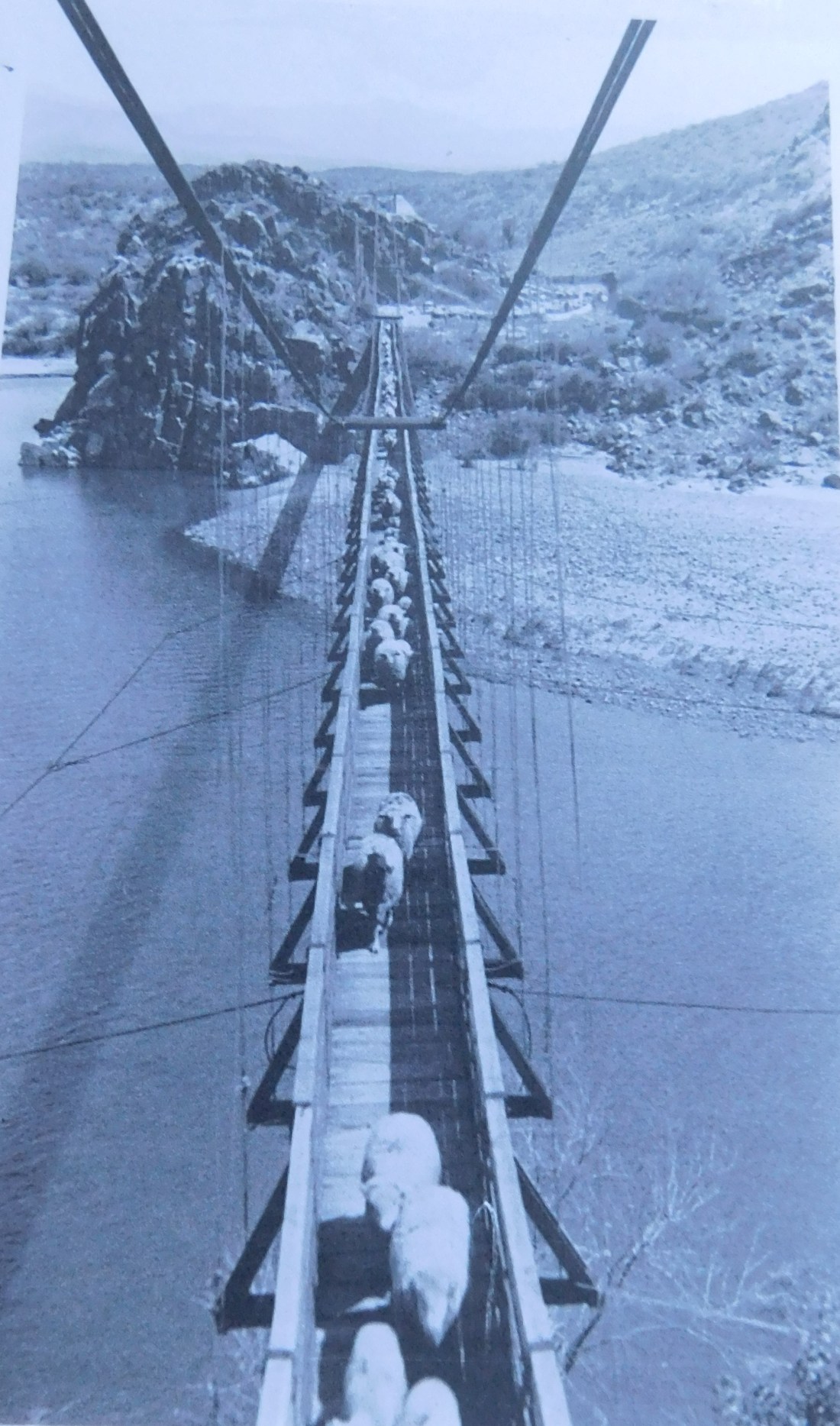 33. Verde River Sheep Bridge